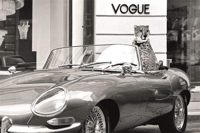 mondiart Schilderij schilderij En Vogue auto